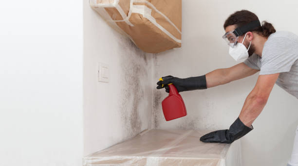 Professional Attic Mold Remediation technician working in Jacksonville, NC