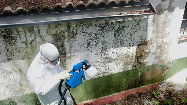 Top rated local Attic Mold Remediation specialists in Jacksonville, NC